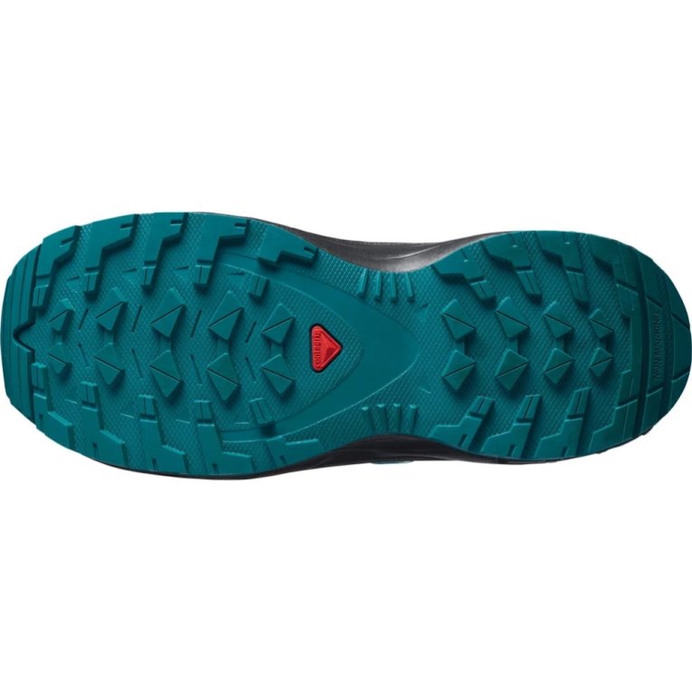 Turquoise Salomon Xa Pro V8 Kids' Hiking Shoes | IE VT5612